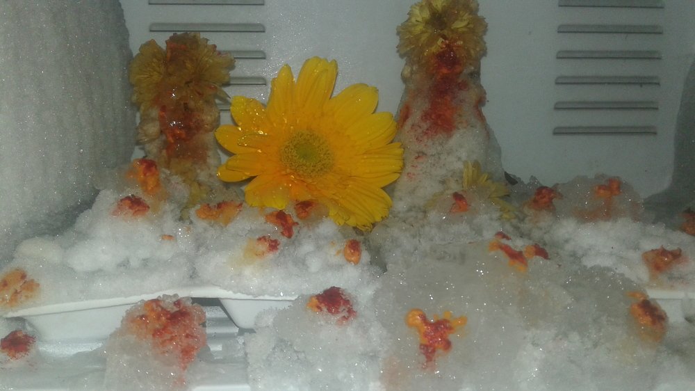 Photo #4907170
