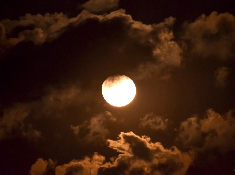 Photograph by Md. Motiur Rahman