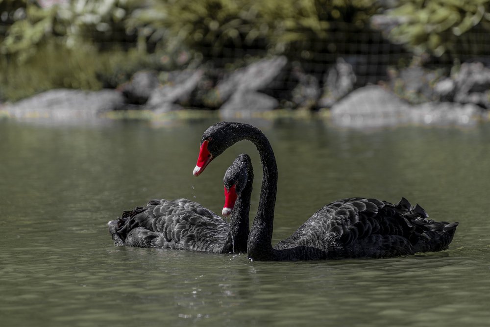 Photograph by Vladislavs Jodciks