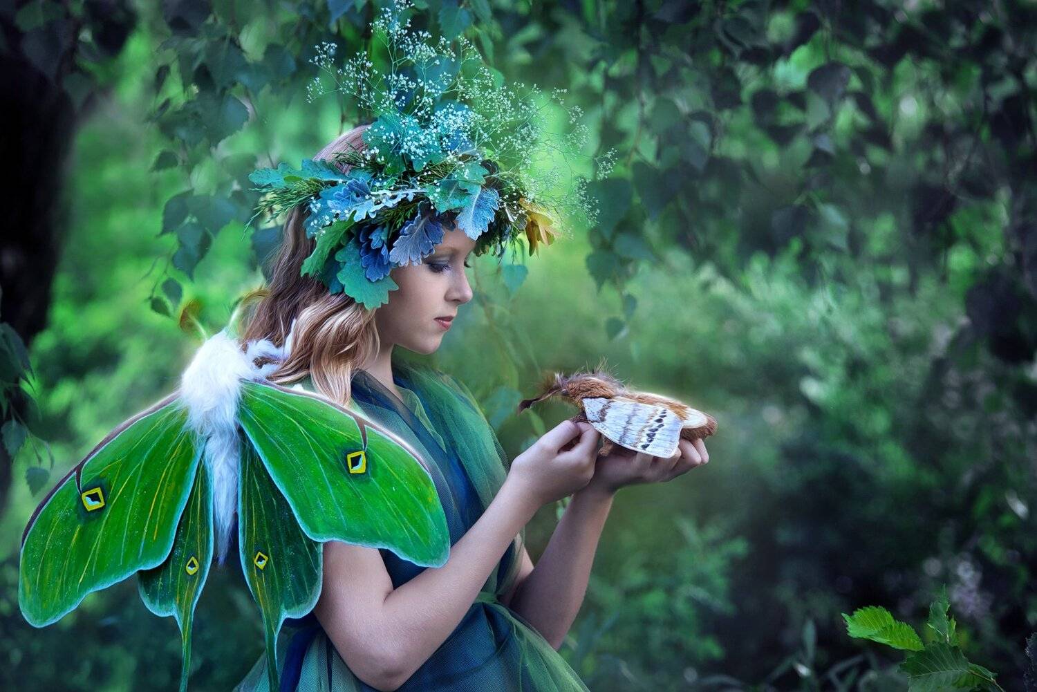 Фотография #4907279