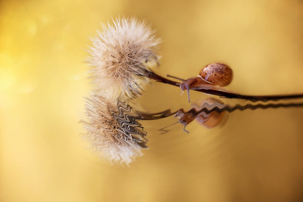 Photograph by Анастасия Думинская