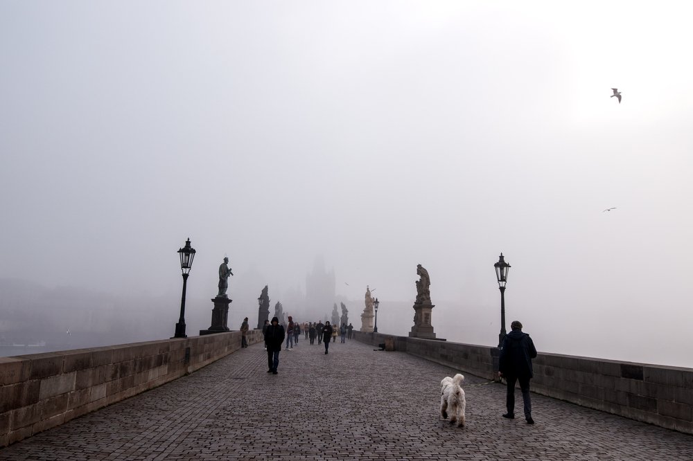 Photograph by Alena Gurenchuk