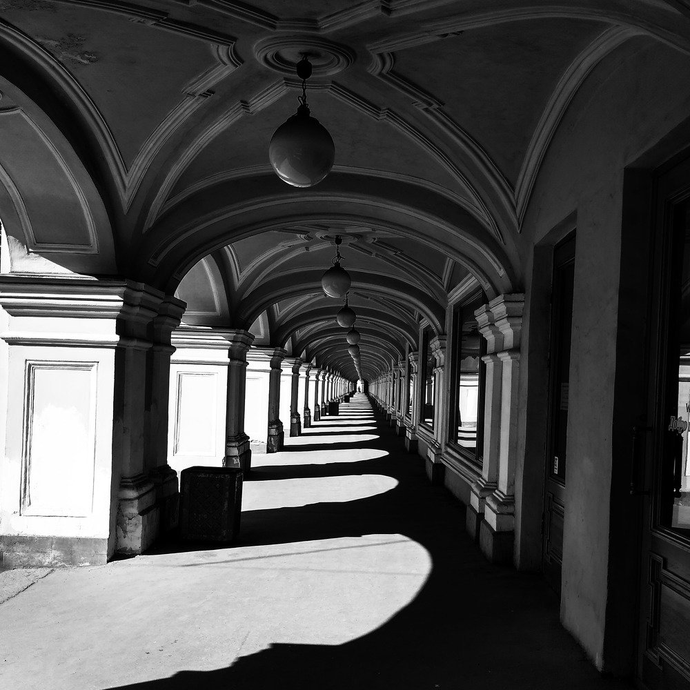 Photo #4907479