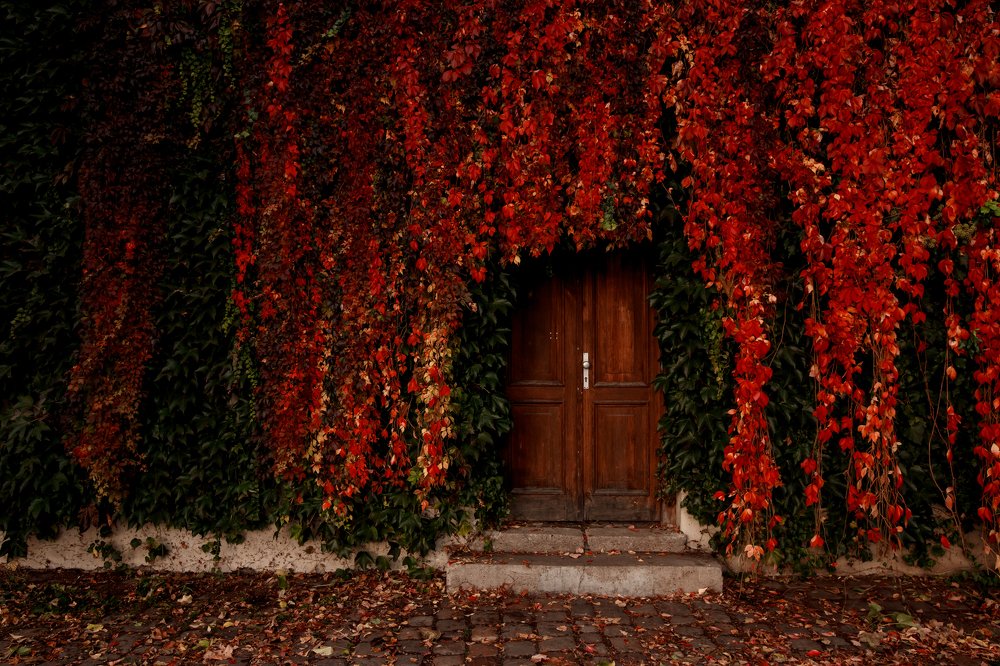 Photograph by Alena Gurenchuk