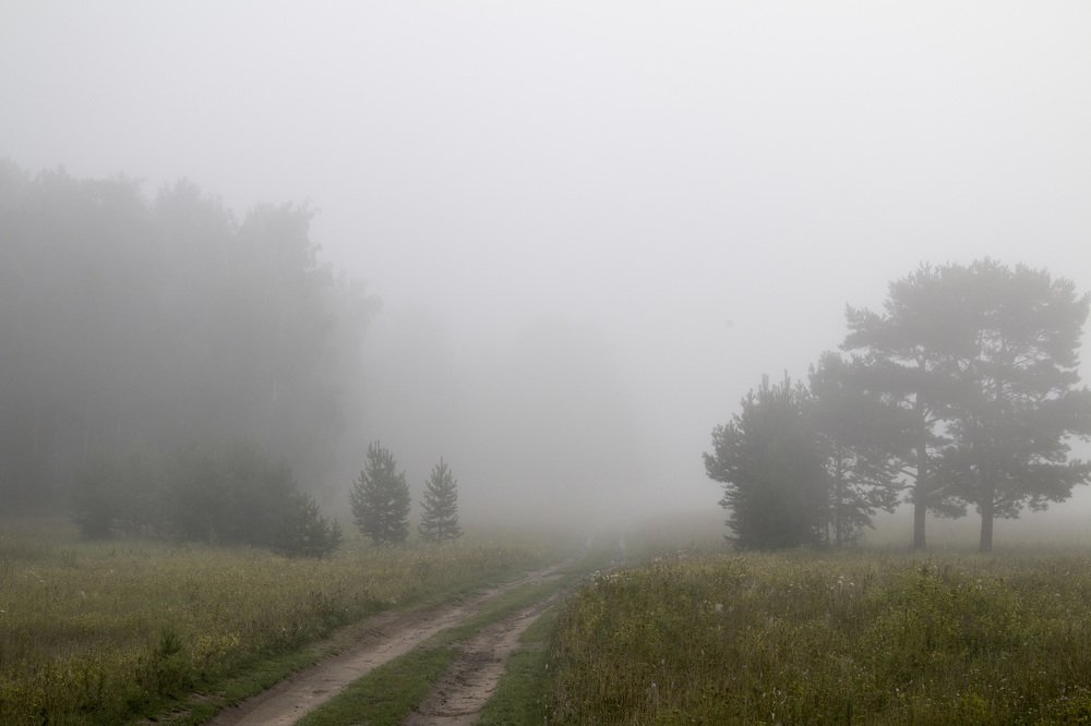 Фотография автора Владимир