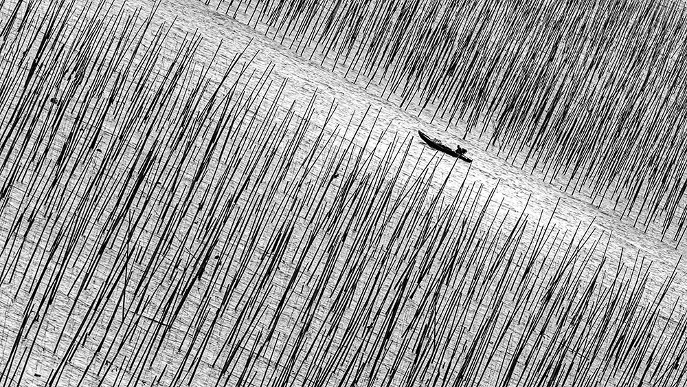 Photograph by Susan Moss