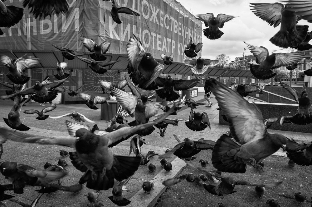 Photograph by Наталия Макарова