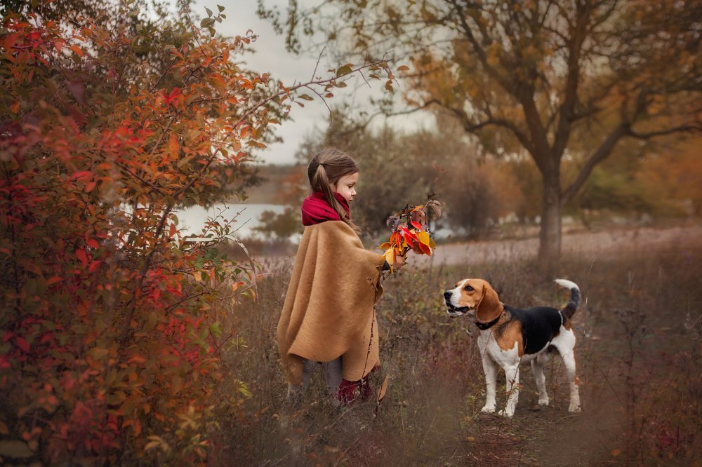 Photograph by Инна Романова