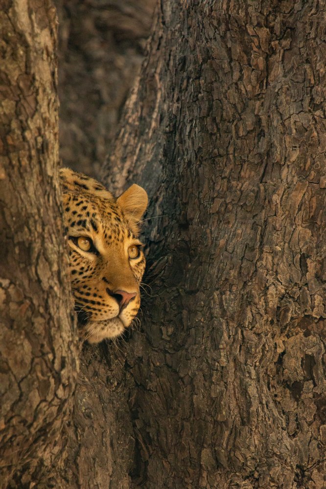 Photograph by Raquel Barao