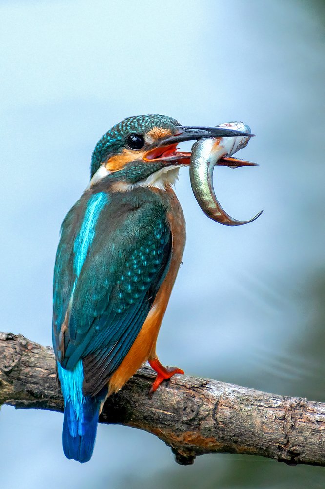 Photograph by NIKHIL PAUL