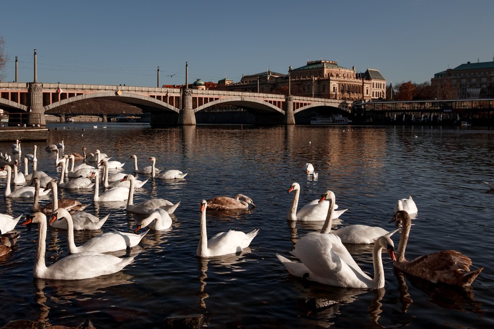 Photograph by Alena Gurenchuk