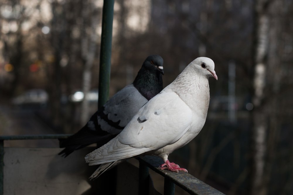 Photograph by Татьяна Юдина