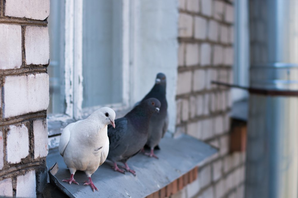 Photograph by Татьяна Юдина