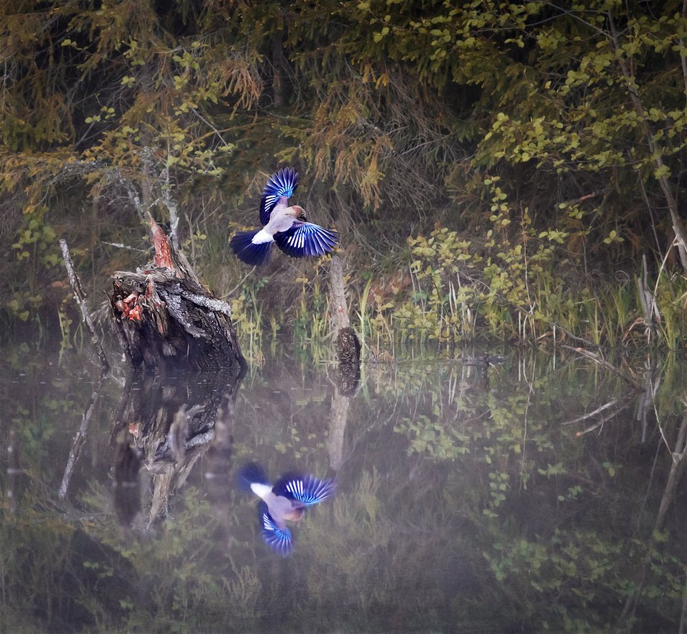 Фотография автора Vyacheslav Lozhkin