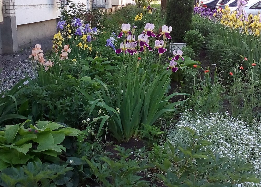 Photo #4908119