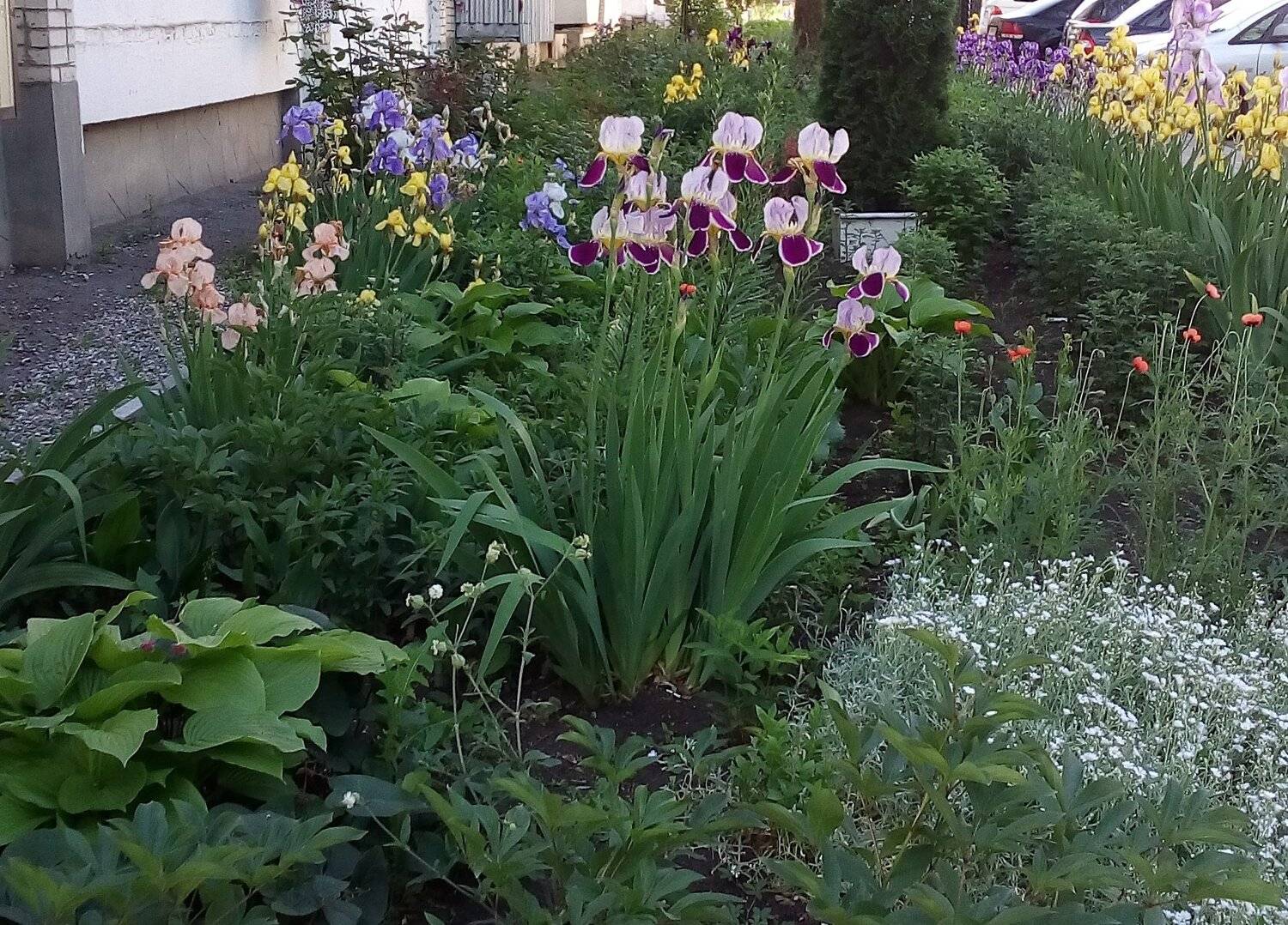 Photo #4908119
