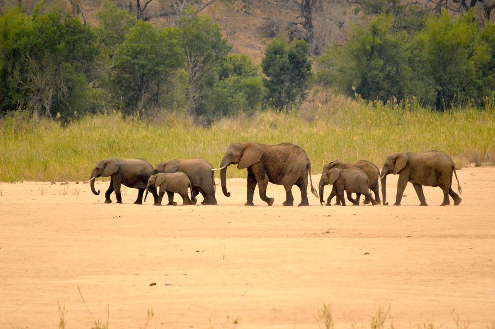 Photograph by Garth Nicholls