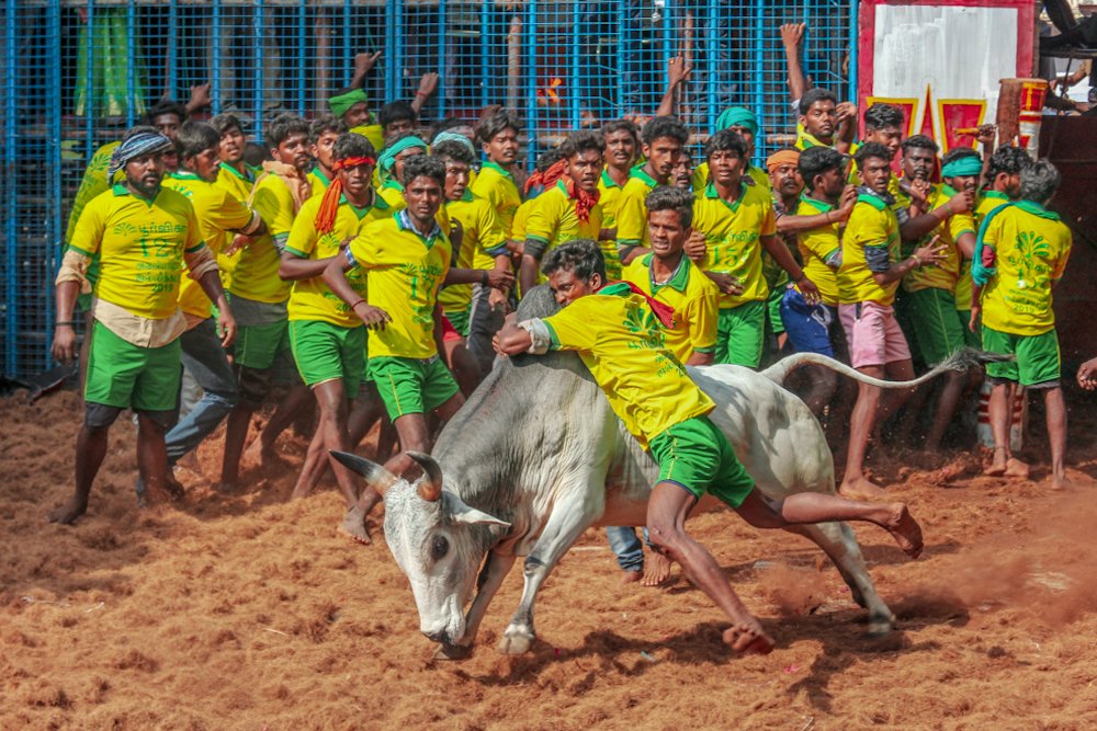 Photograph by Sundaram