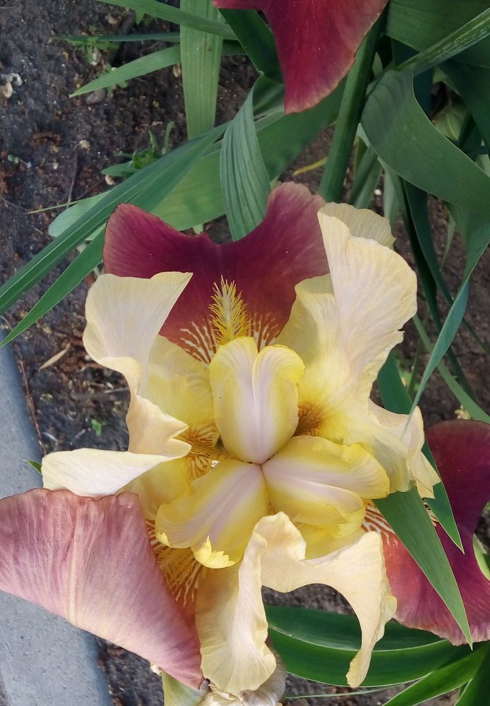 Photo #4908149