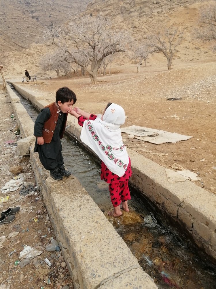 Photo #4908153