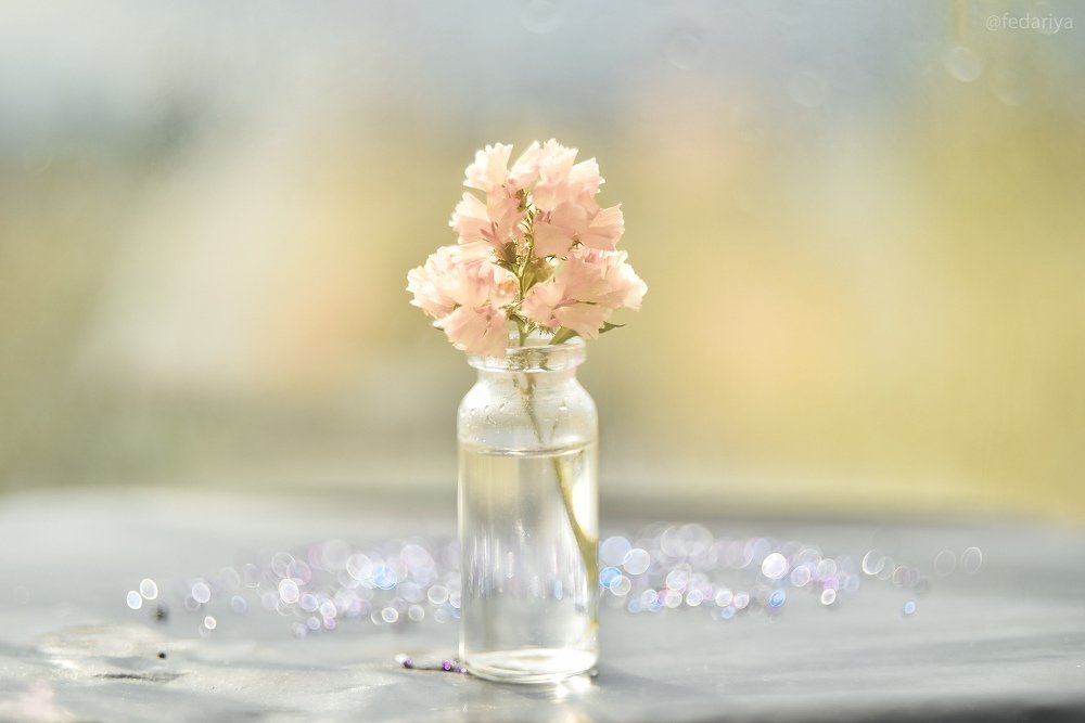 Photograph by Дарья Федорова