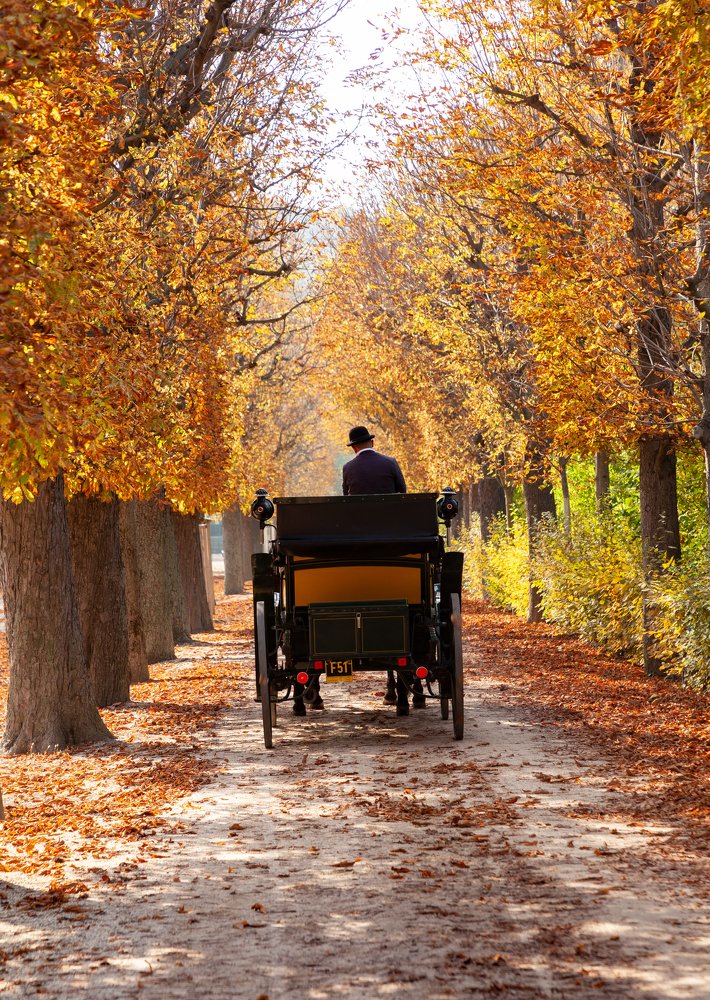 Photograph by Артем Кравец