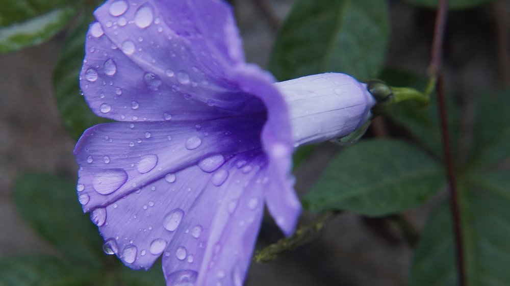 Фотография автора Andre Barbosa