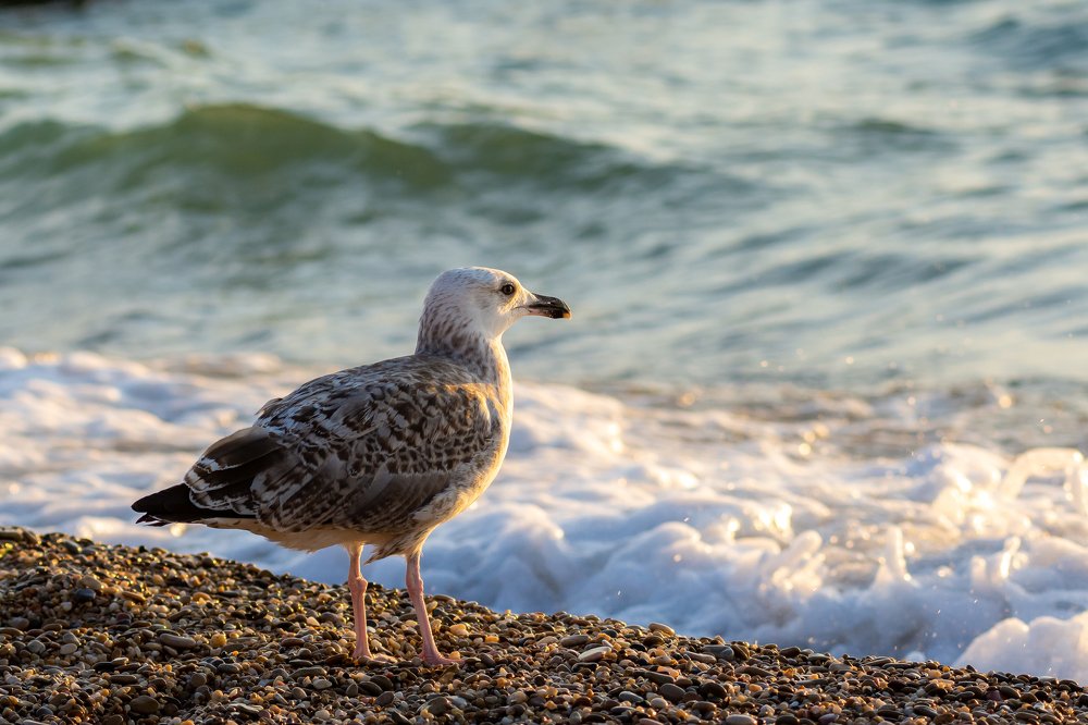 Photograph by Дзись Оксана