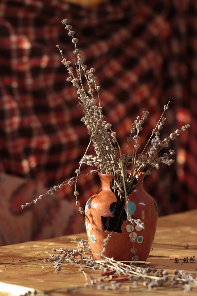 Photograph by Владимир Ясюкевич