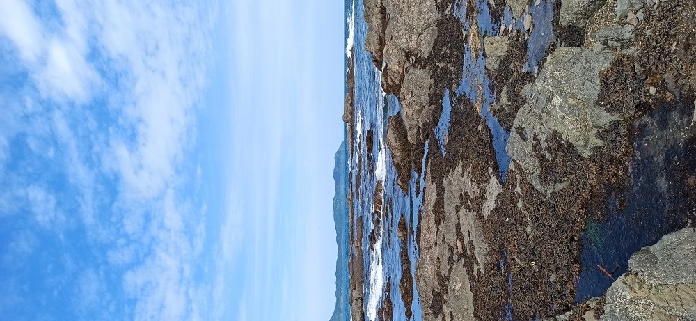 Photograph by Надежда Донская