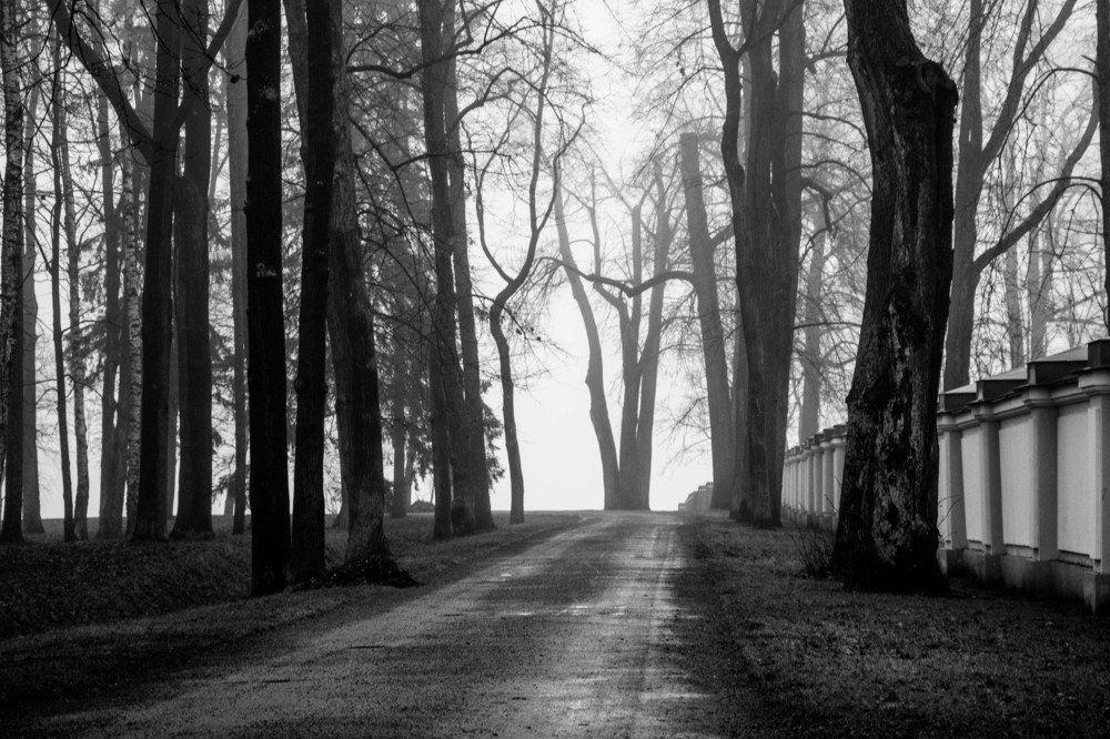 Photograph by Вадим Кондрат