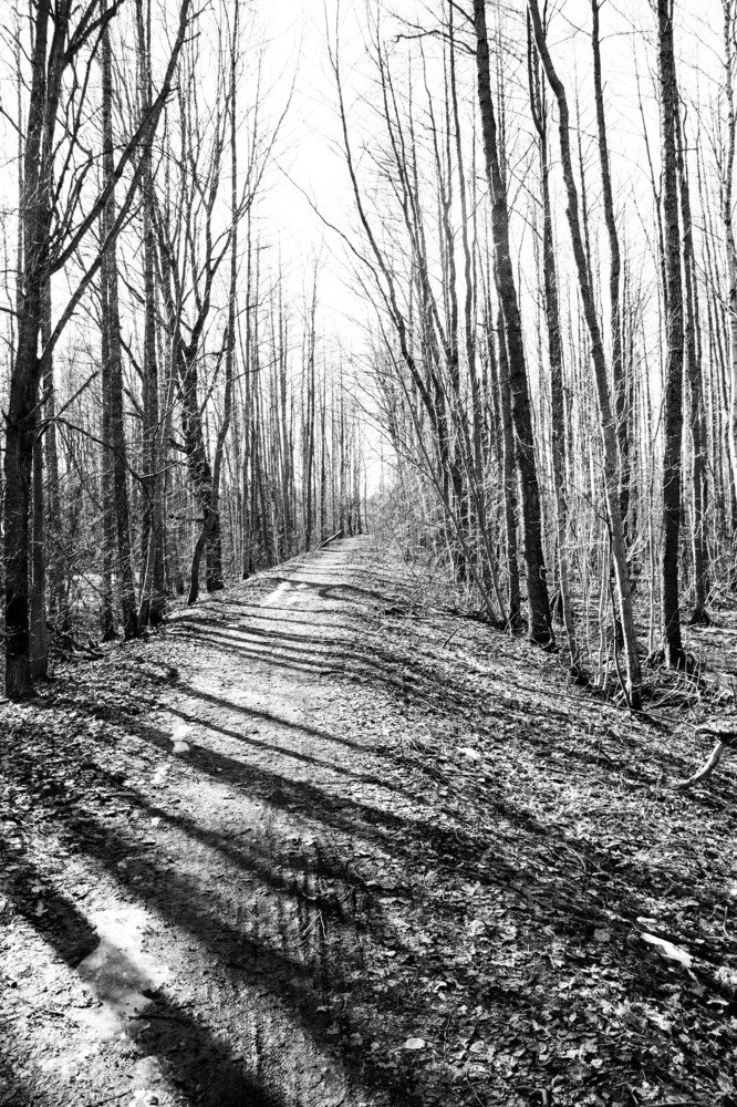 Photograph by Вадим Кондрат