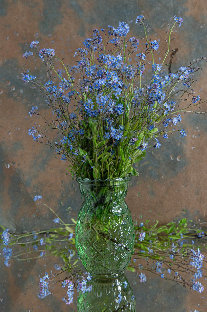 Photograph by Yulia Nikolaeva