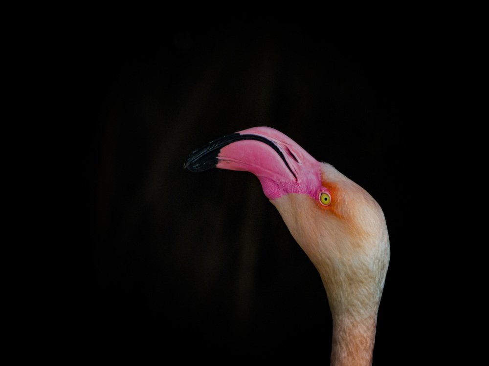 Photograph by Nitin Baste