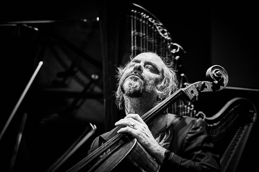 Superconductor / Denis Kalinsky