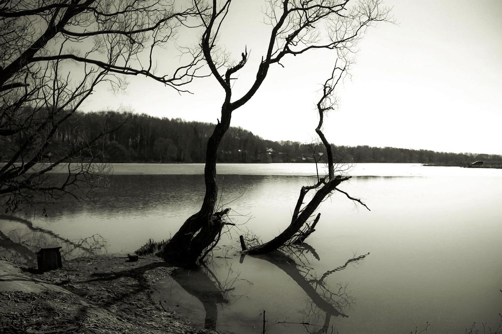 after the winter cold