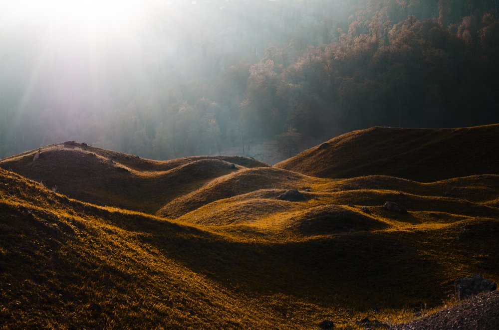 Photograph by Ahmadreza 7Shot