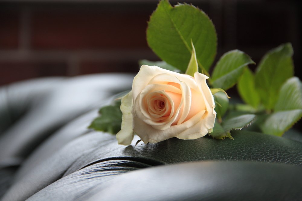 Photograph by Ольга Ермакова