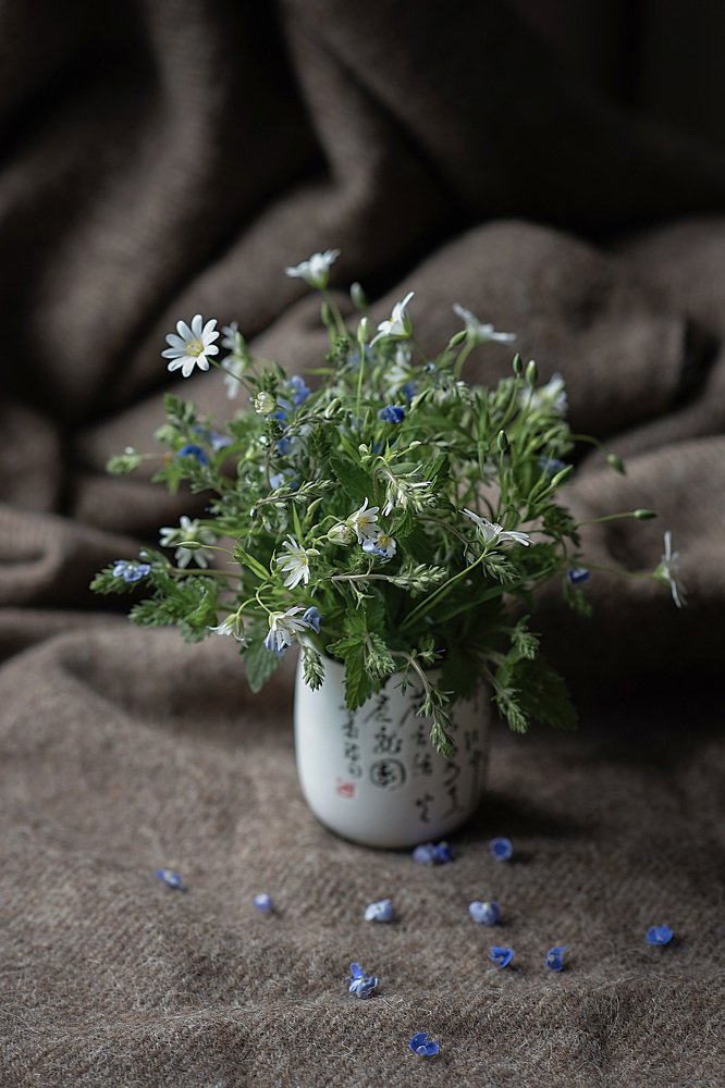 Photograph by Светлана Викторова