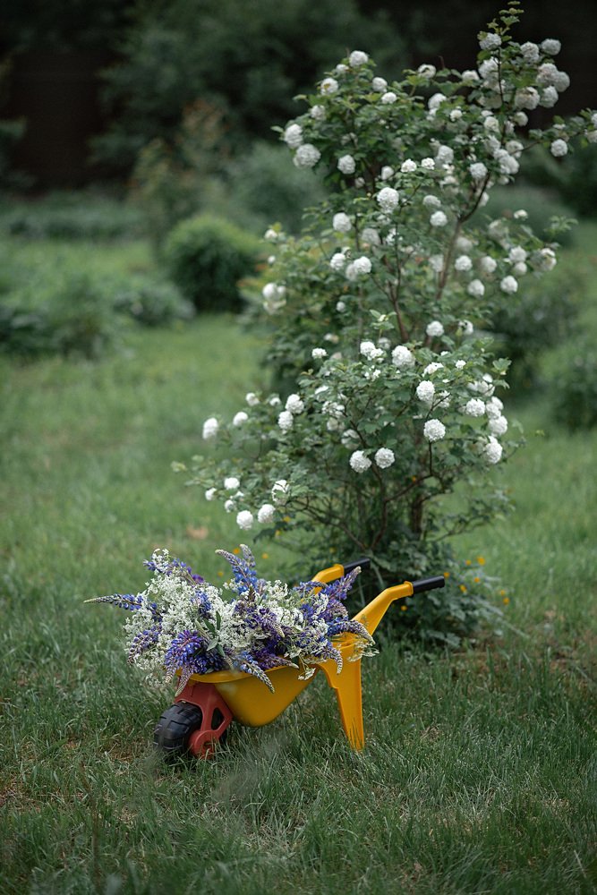 Photograph by Светлана Викторова