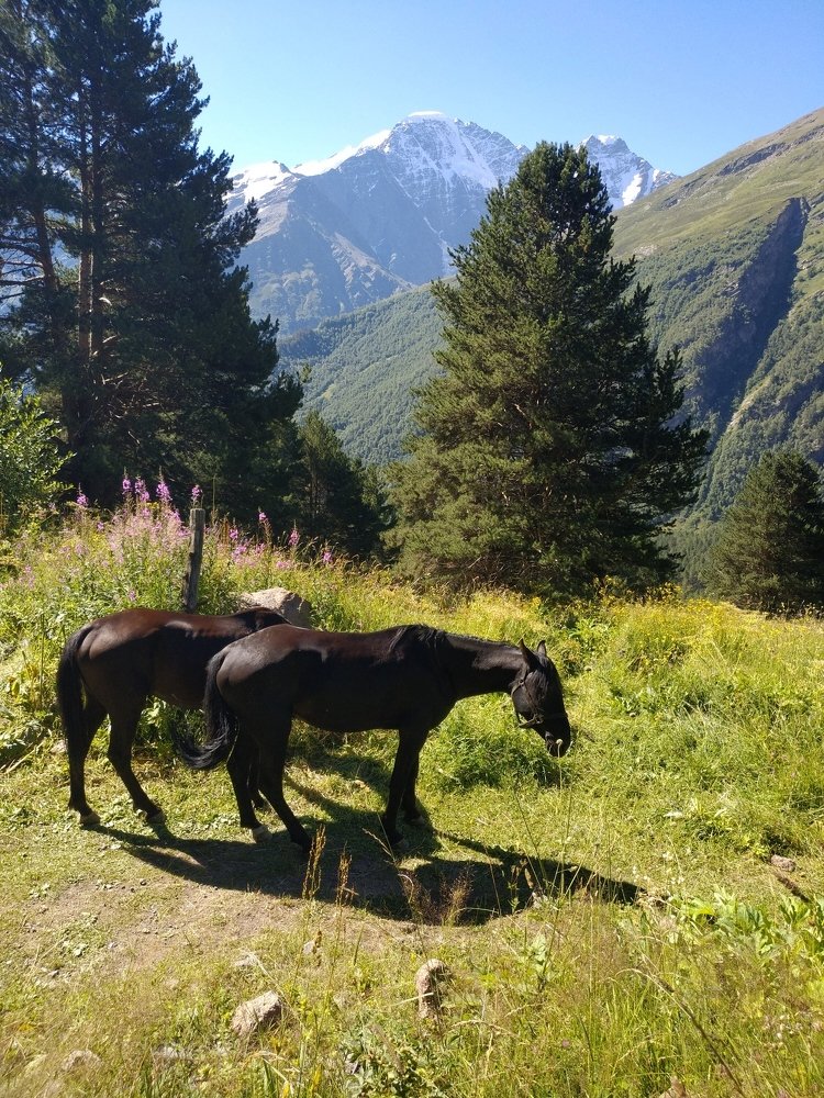 Photo #4908963