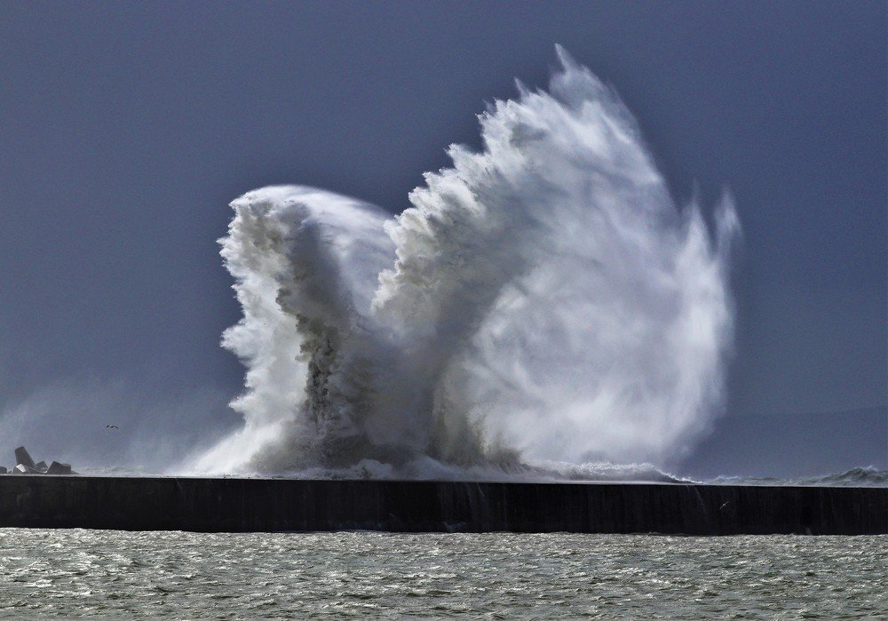 The Wings of an Angel.