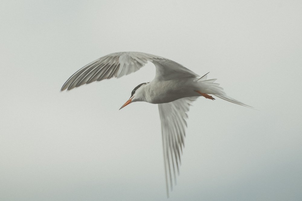 Photograph by Ekaterina Fadeeva