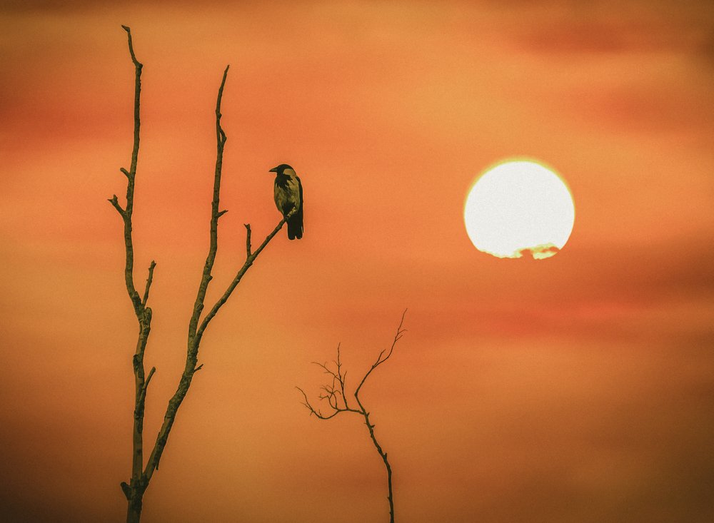 Photograph by Ekaterina Fadeeva