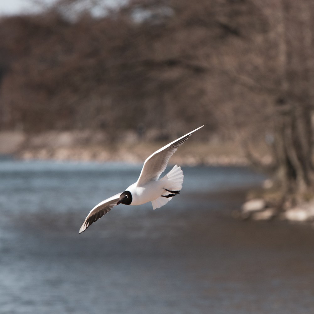 Фотография автора Андрей Барбиер