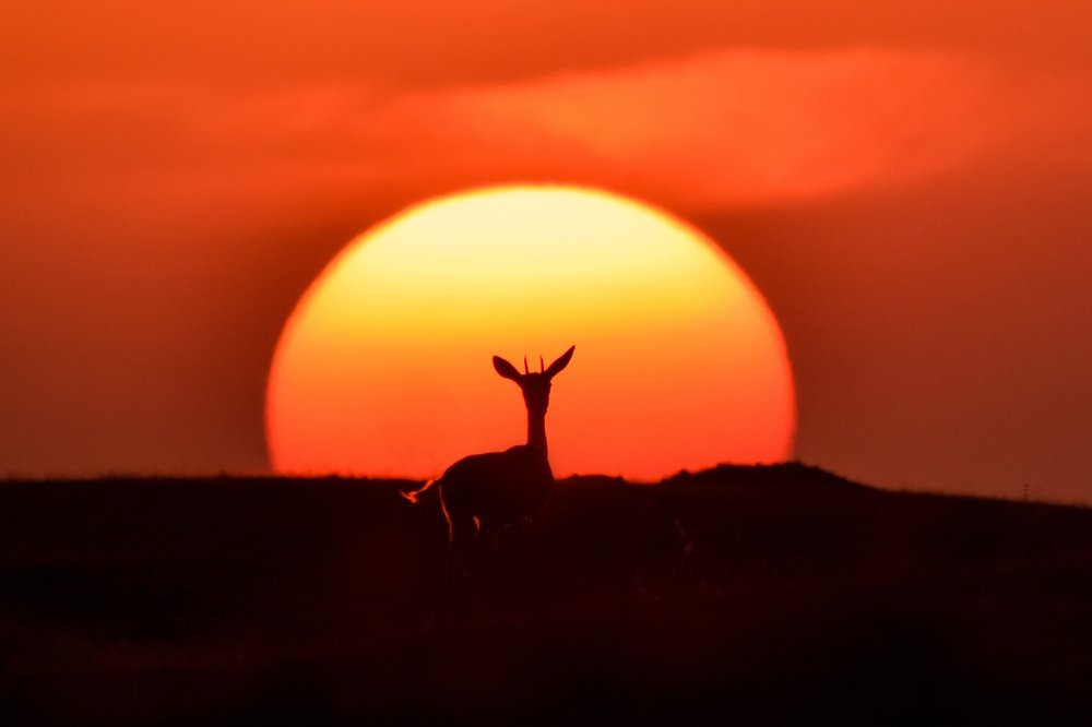 Crown Jewel of Ahmednagar !