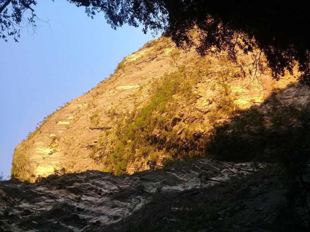 Photo #4909119
