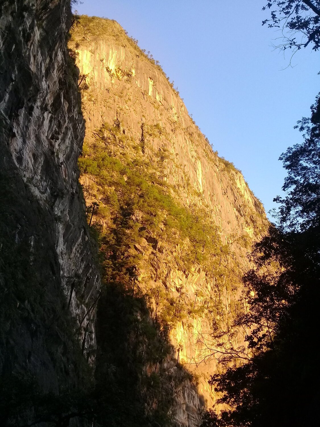 Photo #4909119