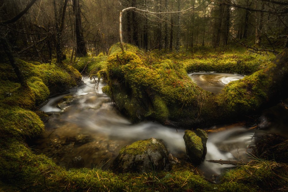 Photograph by Adrian Szatewicz