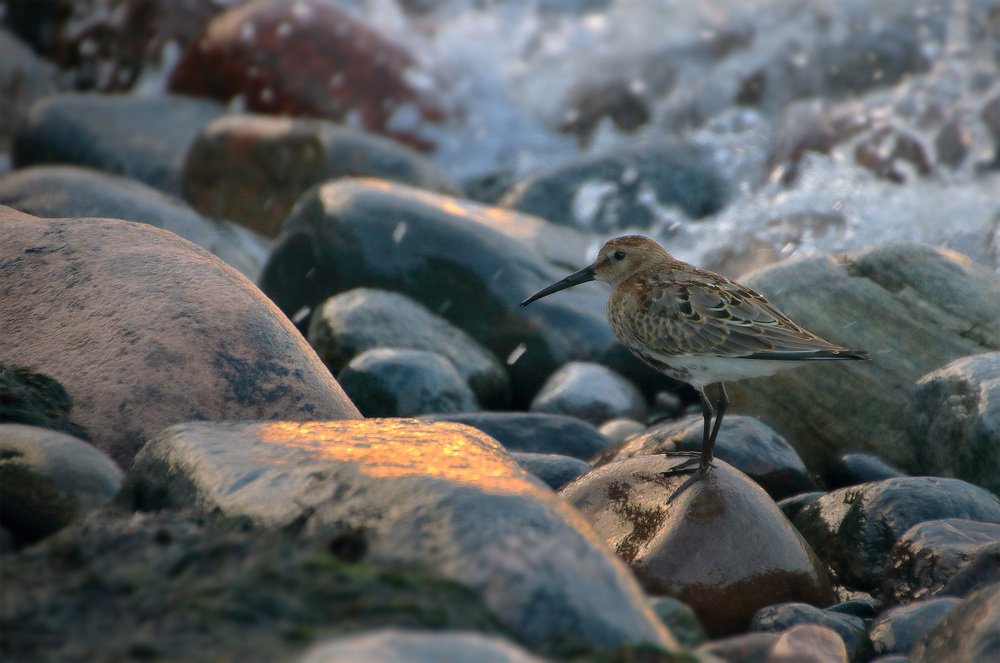 Photograph by Владимир Петрукович